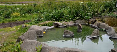 Nauteyrarlaug温泉