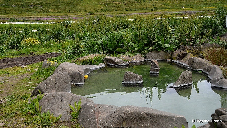 The Westfjords of Iceland is rich in geothermal pools, including Nauteyrarlaug and its nearby Hellulaug hot spring seen on this photo. The Westfjords of Iceland is rich in geothermal pools, including Nauteyrarlaug and its nearby Hellulaug hot spring seen on this photo.