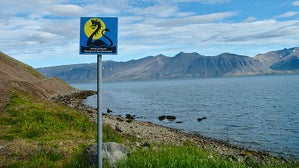 Icelandic Sea Monster Museum