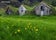 Turf House | South | Summer | WM copy.jpg