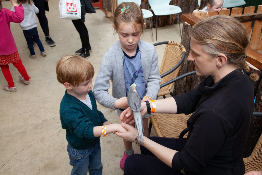 Children being introduced to a budgie at Slakki Petting Zoo.