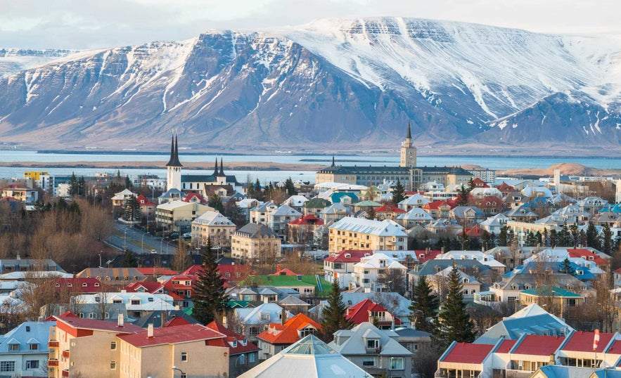 Colorful rooftops of Reykjavik with snow-covered Mount Esja towering in the background under a pale winter sky.