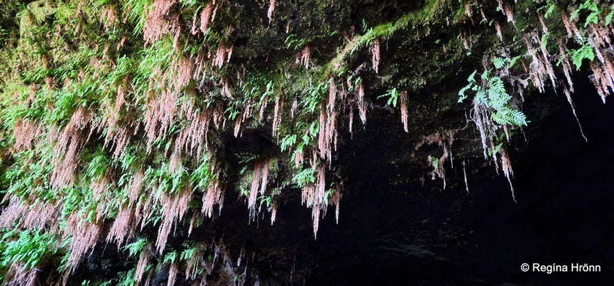 The historical Steinahellir Cave in South Iceland