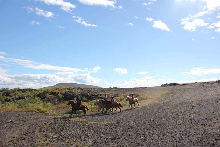 Small-Group Husavik Horse Riding Tour of Iceland’s Diverse Landscapes