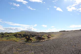 Small-Group Husavik Horse Riding Tour of Iceland’s Diverse Landscapes