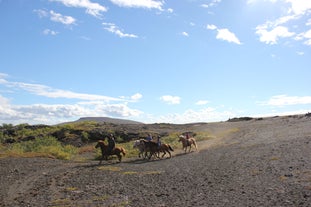 Riders on Icelandic horses cross a rugged lava field under a bright blue sky near Husavik.