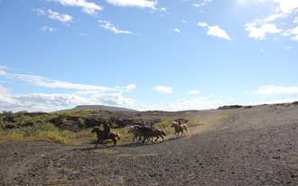 Riders on Icelandic horses cross a rugged lava field under a bright blue sky near Husavik.