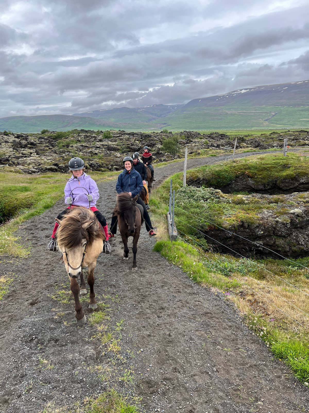 Small-Group North Iceland Horse Riding Tour in Husavik with Birch ...