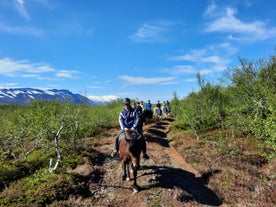 Eight riders on horseback in a line along a dirt road surrounded by greenery in Husavik