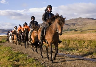 Easy Horseback Riding Tour with Optional Transfer from Reykjavik