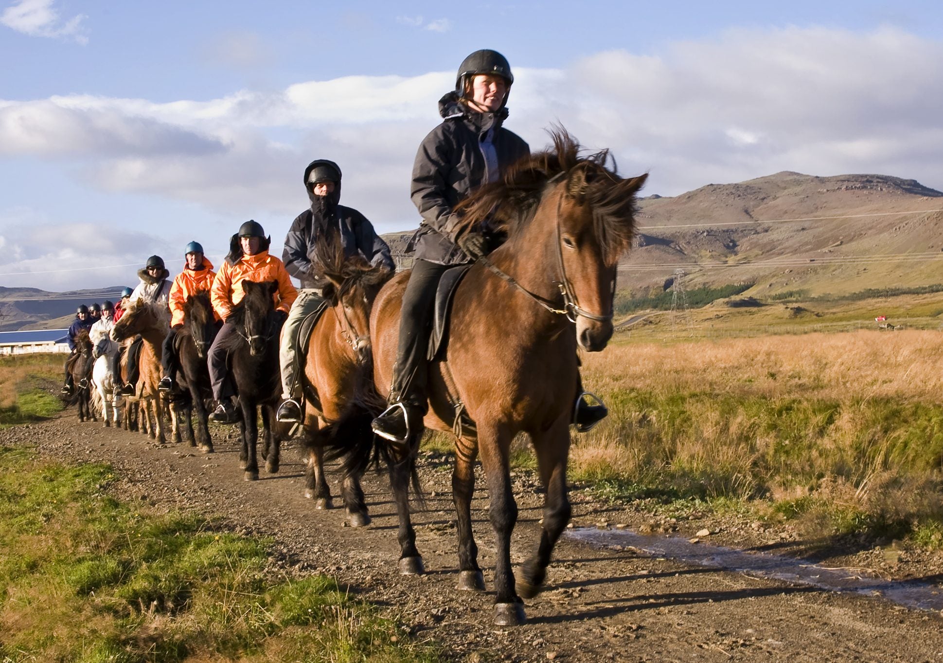 Una fila de caballos islandeses avanza por un sendero de tierra a través del paisaje escarpado del Sur de Islandia.