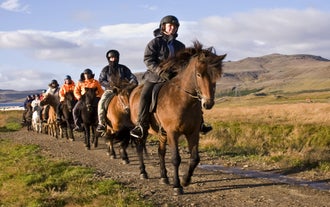 Une file de chevaux islandais marchant sur un chemin de terre à travers le paysage accidenté du sud de l'Islande.