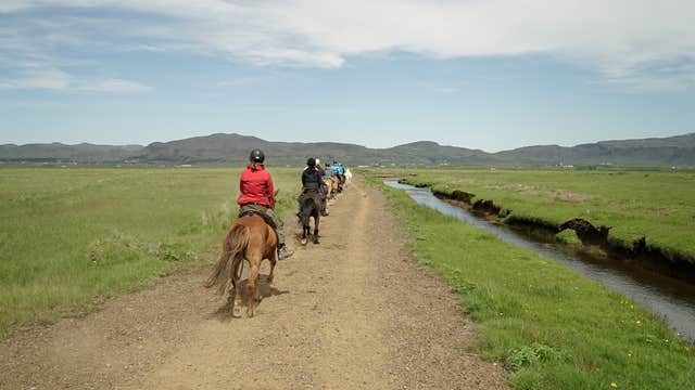 Easy Horseback Riding Tour with Optional Transfer from Reykjavik