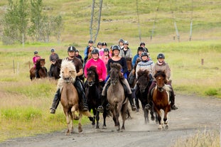 Een groep mensen rijdt op IJslandse paarden tijdens deze 2 uur durende paardrijtocht in de buurt van Reykjavik.