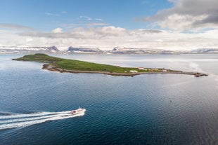 Il viaggio in barca da Isafjordur all'isola di Vigur è incredibilmente panoramico