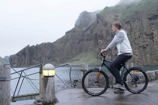 See the amazing sights of the Westman Islands conveniently with a bike.