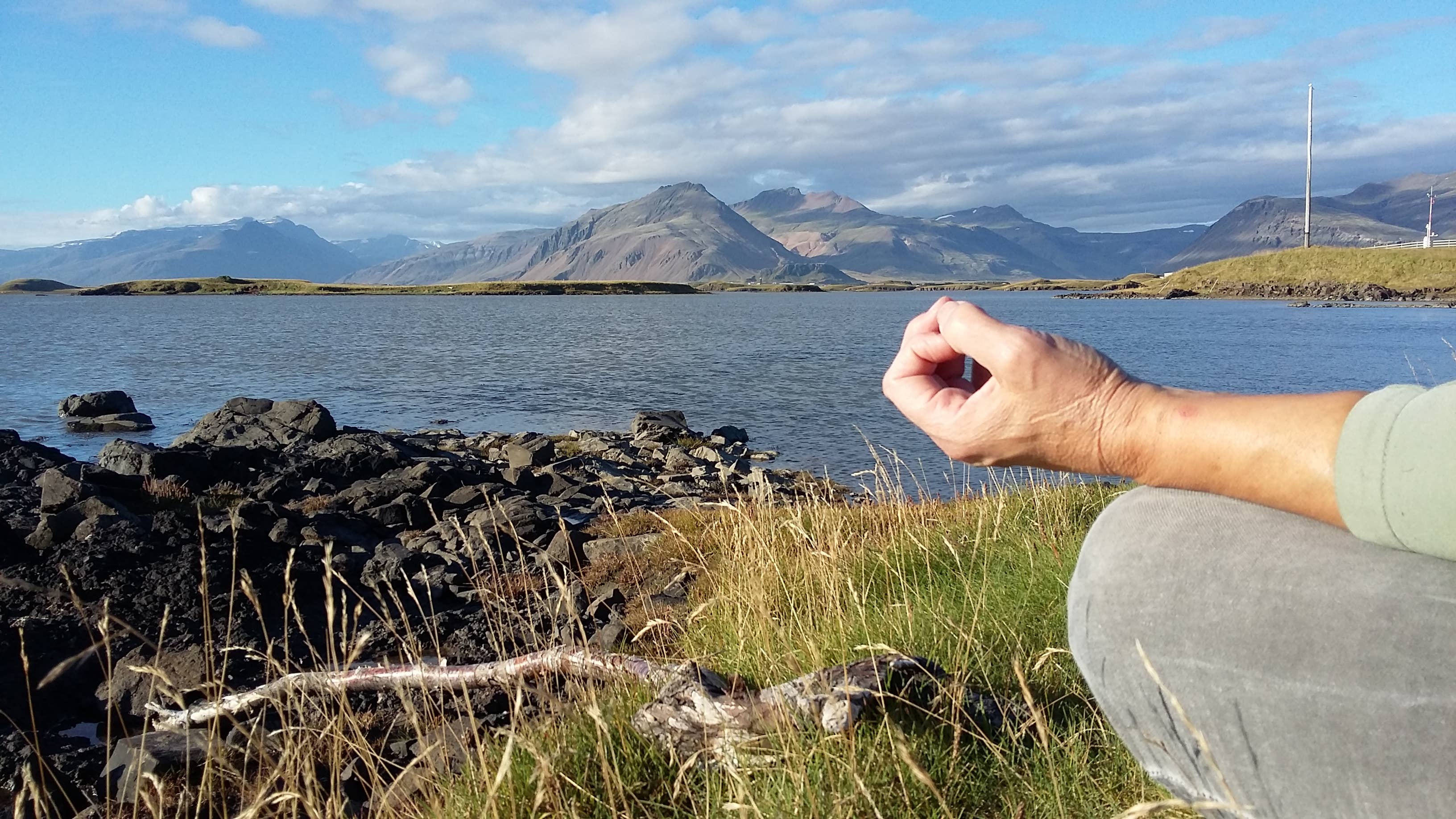 Hofn es un excelente lugar para hacer una sesión de yoga en Islandia.