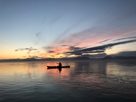 Godetevi qualche ora tranquilla ma energica con questo tour in kayak da Hofn