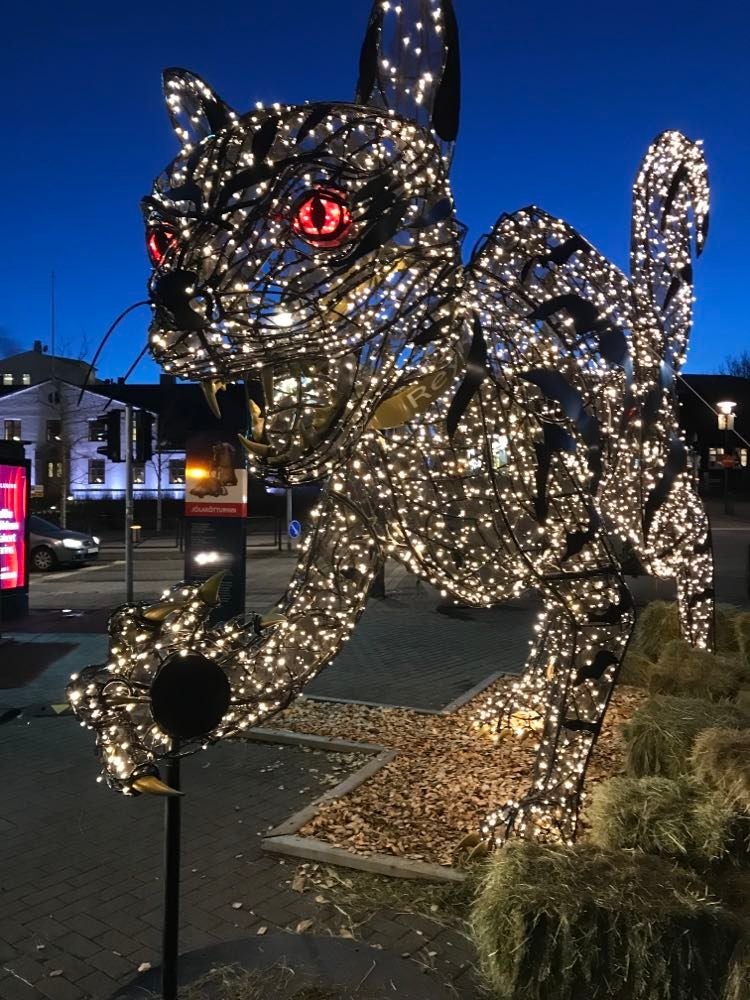 Kot Bożonarodzeniowy w Reykjaviku.