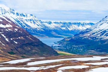 shutterstock_1024865134.jpg