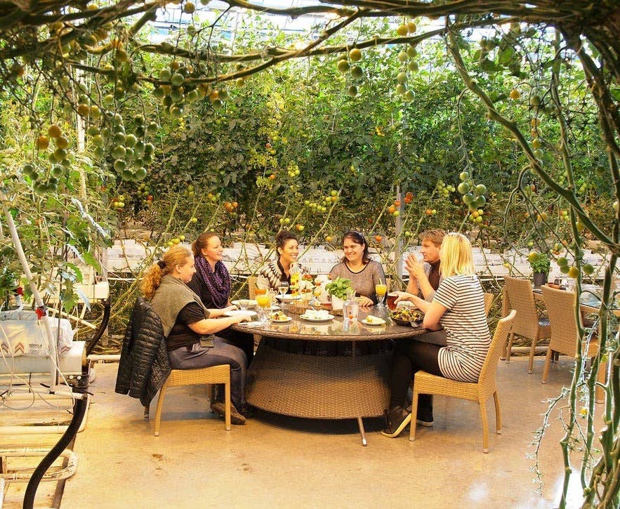 Frauen essen im Fridheimar Tomatengewächshaus, eines der beliebtesten Restaurants im Goldenen Kreis