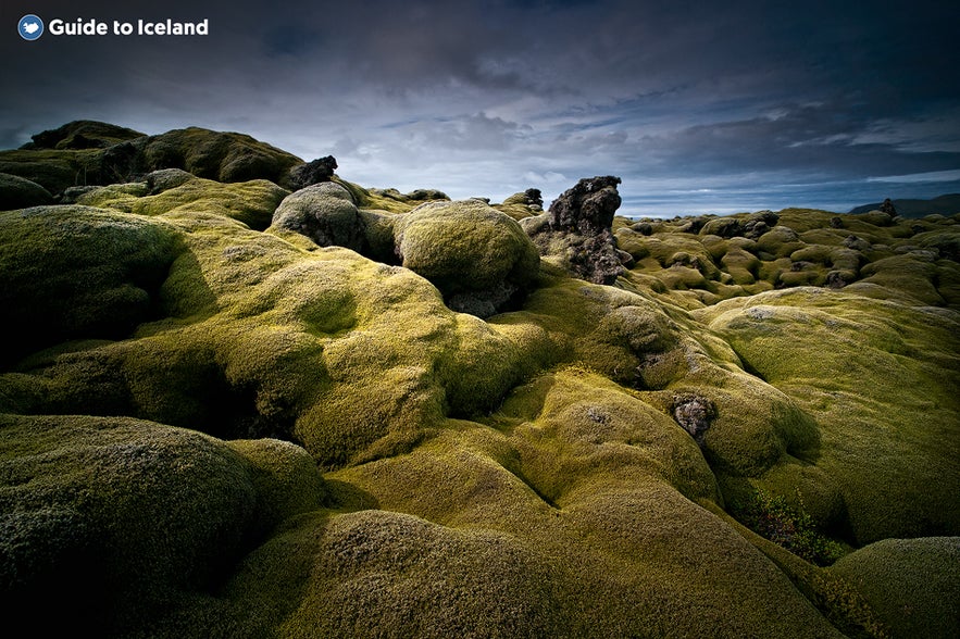 A moss-covered volcanic landscape on the Reykjanes peninsula near Reykjavik A moss-covered volcanic landscape on the Reykjanes peninsula near Reykjavik