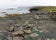 Hellulaug_20150823_141102.jpg