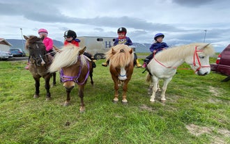 Los niños montan felices sus caballos y se preparan para su paseo a caballo.