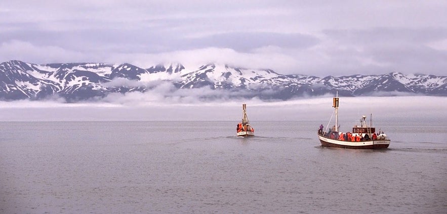 The spectacular Skjalfandi Bay is surrounded by mountains and is a popular whale-watching destination in North Iceland.