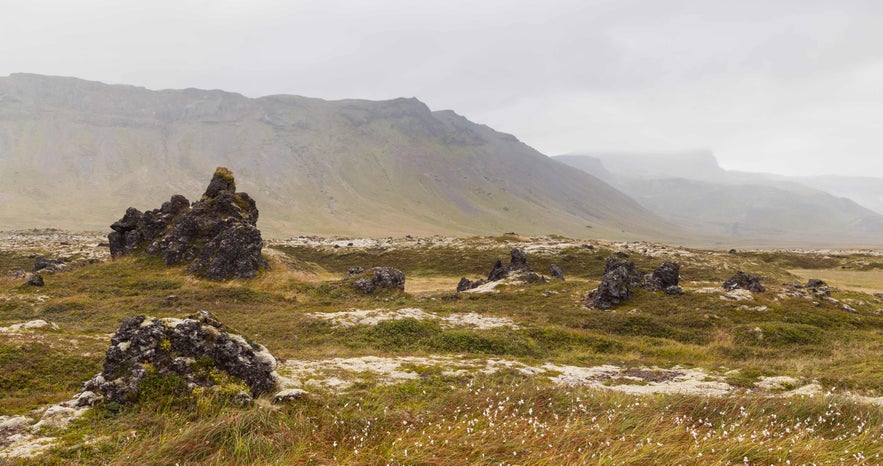 Budahraun lava field of Iceland is known for its beautiful geology and vegetation.  Budahraun lava field of Iceland is known for its beautiful geology and vegetation.