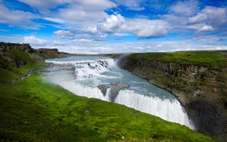 Gullfoss waterfall surrounded by lush greenery during summer in Iceland.