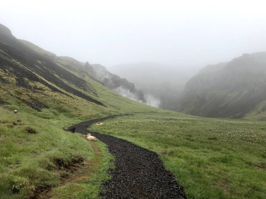 A gravel path winding through the green Reykjadalur valley with steam rising in the distance