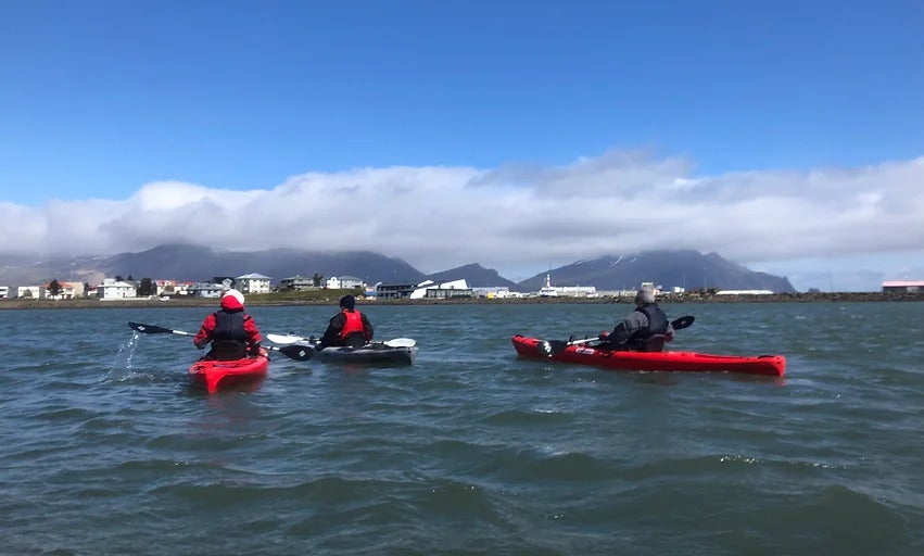 Een groep kajakkers geniet van het uitzicht tijdens een tocht door de Hornafjordur-fjord.