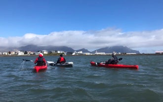 Un gruppo di kayakisti si gode il panorama circostante durante un tour del fiordo di Hornafjordur