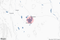 staticmap.jpg