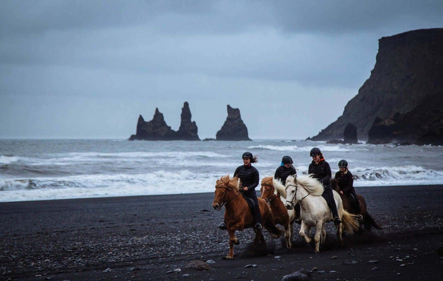 Horseback riding tour on Icelandic horses along Reynisfjara black sand beach on the South Coast of Iceland, with Reynisdrangar sea stacks and waves in the background.
