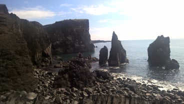 The Reykjanes peninsula has dramatic sea cliffs, a favorite bird nesting location.