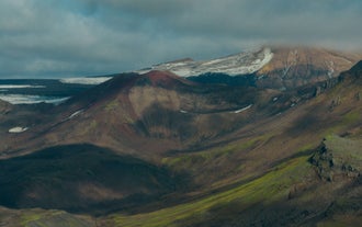 Shades of brown ash, green moss, and white snow cover the surface of a mountain