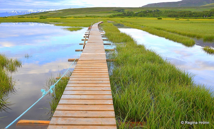 The beautiful Svarfaðardalur Nature Reserve and Húsabakki in North Iceland