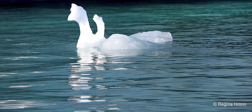 Jökulsárlón Glacial Lagoon - a Tour of the Jewels of the South Coast of Iceland