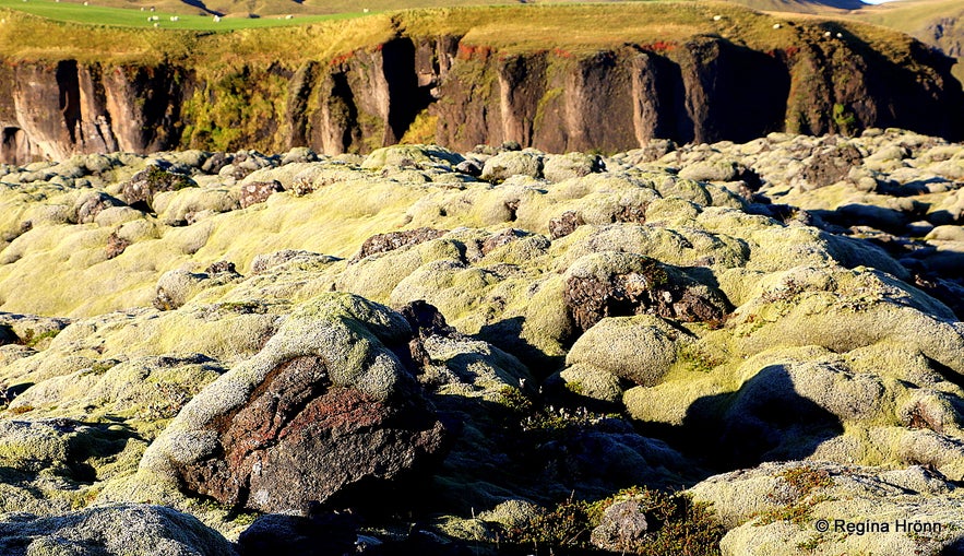 Jökulsárlón Glacial Lagoon - a Tour of the Jewels of the South Coast of Iceland