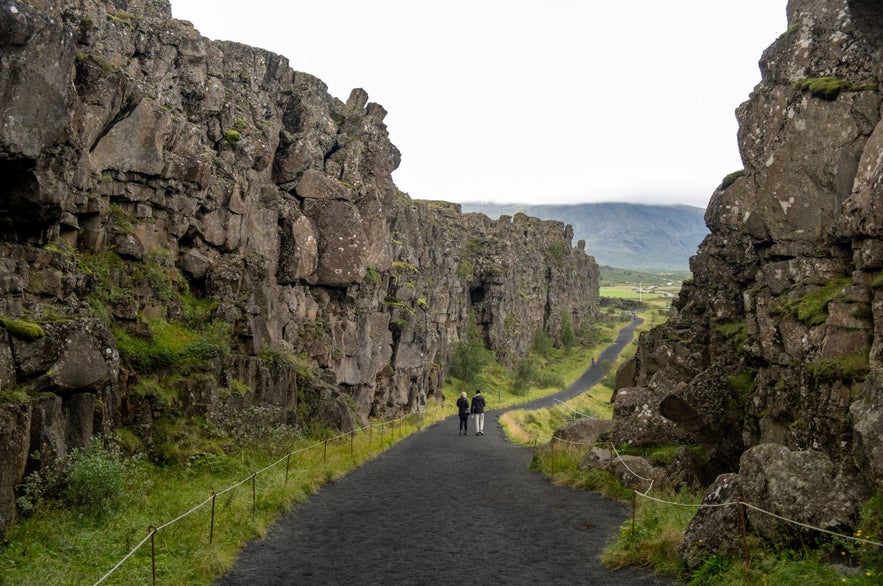 The walking path of Almannagja Gorge features towering volcanic cliffs covered in green moss, visitors exploring, and distant mountains along the Golden Circle route.