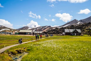 A group walking along a path in the Landmannalaugar hiking area, with mountains in the background.