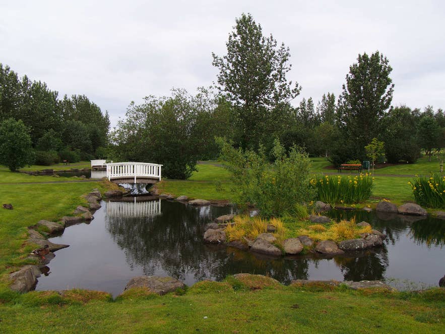 Autumn colors in the Reykjavik Botanical Garden, setting of the climactic scene in Through Night and Day.
