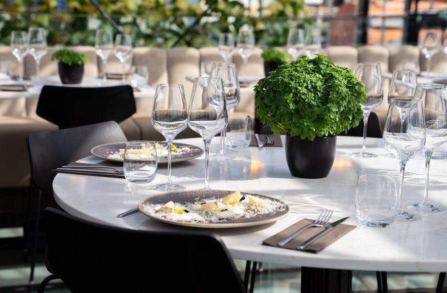 Sol Restaurant is one of the secret spots and hidden gems in Reykjavik, offering elegant dining with a modern, plant-filled atmosphere.