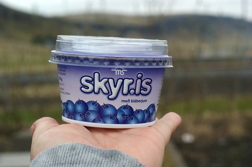 A hand holding a small tub of blueberry skyr.