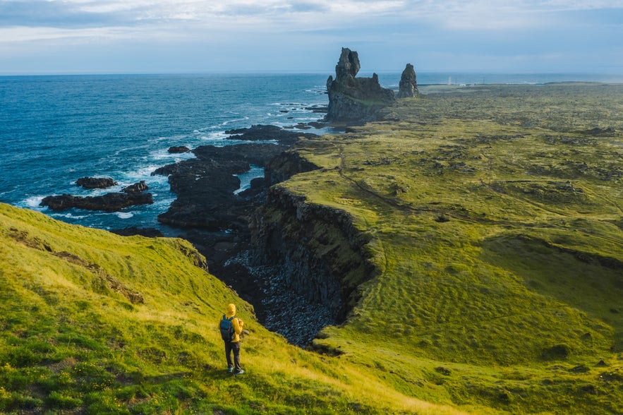 Hiker in yellow jacket standing on grassy cliffs overlooking Londrangar sea stacks and rugged Icelandic coastline. Hiker in yellow jacket standing on grassy cliffs overlooking Londrangar sea stacks and rugged Icelandic coastline.