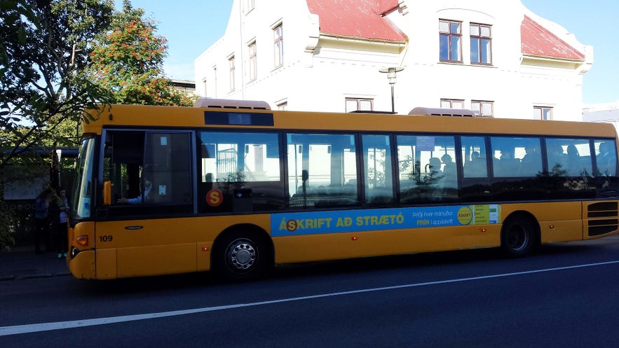 Straeto busses go around Reykjavik. 