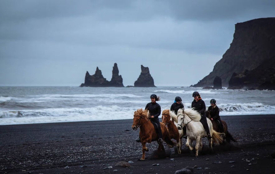 Tour a cavallo sulla spiaggia di Vik con cavalli islandesi e i faraglioni di Reynisdrangar nella costa sud dell’Islanda.