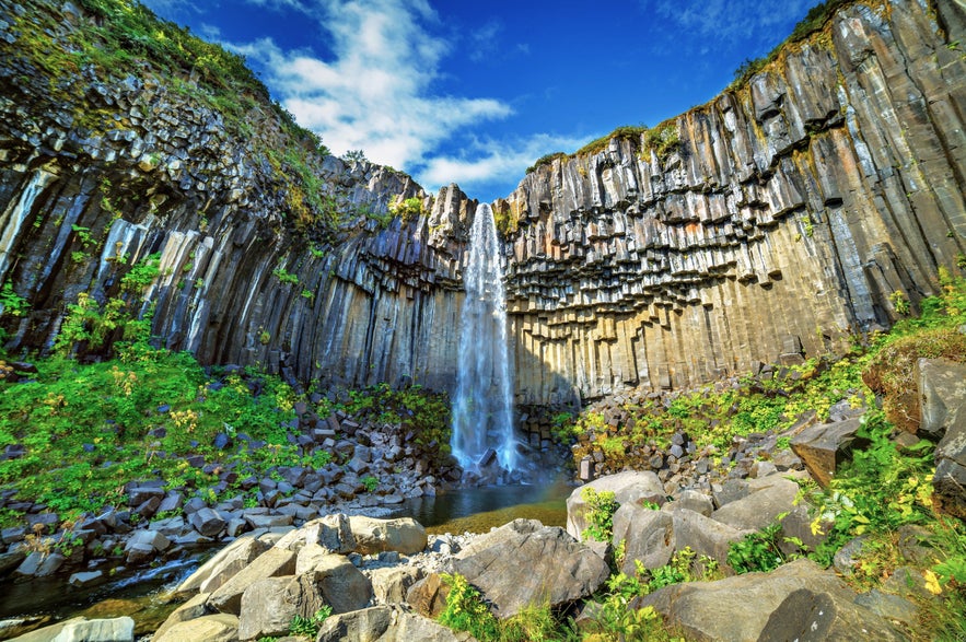 Svartifoss waterfall cascading over dramatic hexagonal basalt columns in Skaftafell, Vatnajökull National Park, surrounded by lush greenery under a bright summer sky in Iceland.